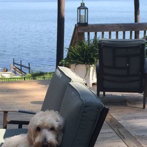 Meet your Posher, Paige